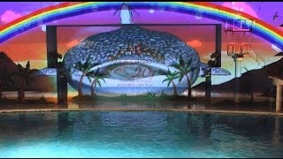 海の動物たちのショーfeaturingプロジェクションマッピング、横浜 八景島シーパラダイス/神奈川新聞（カナロコ）