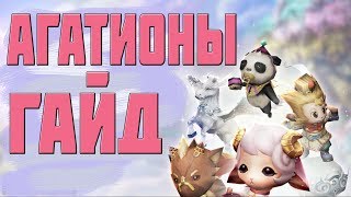 АГАТИОНЫ | ПОДРОБНОСТИ | L2R GUIDE