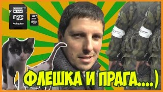 #5 Прага. Восстановление флешки / Пытаюсь восстановить флешку micro sd в Праге и #CAT CAFE #животные