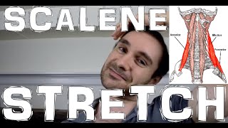 The Best Neck Stretch for the Scalene Muscles
