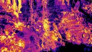 Shpongle- Tickling the Amygdala (Psychedelic Waterfalls)