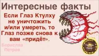 Интересные факты о террарии.