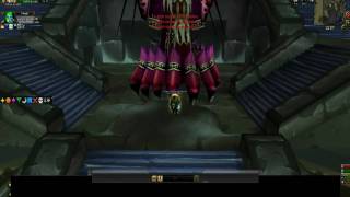 The Prophet Skeram solo kill part 2