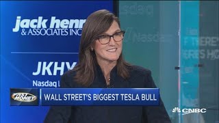 Tesla's biggest Wall Street bull thinks automaker can hit $15K in 2024