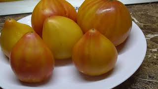 Помидоры становятся вкуснее с каждым годом. Томат Канадское наследие.