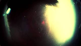 Soaked - In Light