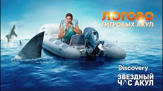 Открытие Адама Дивайна | Логово тигровых акул | Discovery