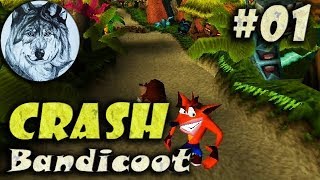 Crash Bandicoot. Прохождение. #1. Берег – Бухта. 100%