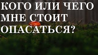 КОГО ИЛИ ЧЕГО ВАМ НУЖНО ОПАСАТЬСЯ?