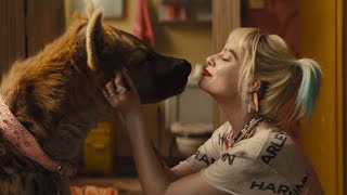 Birds of Prey – Trailer F5 (ซับไทย)