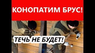 ТЕЧЁТ СТЕНА из БРУСА! Что Делать?