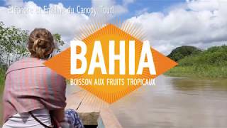 Bahia supporte la protection de l'Amazonie