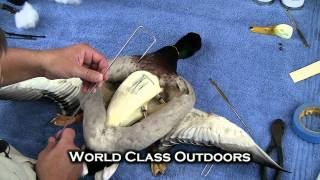 How to Mount a Duck from Home