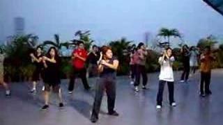 "Low" (T-Pain) EDC Dance Class
