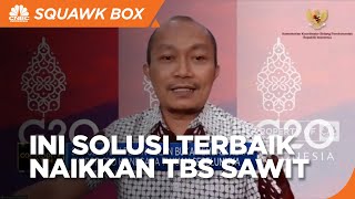 Kemenko Perekonomian Sebut Ini Dia Solusi Terbaik Naikkan TBS Sawit
