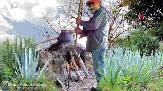 San Juan Bautista Jayacatlan Etla Elaboración del Mezcal Tradicional 2016 Oaxaca