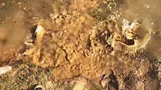 INSANE CRAPPIE AND BASS RELEASE!!!