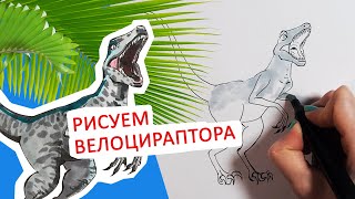 КАК НАРИСОВАТЬ ВЕЛОЦИРАПТОРА, (по схеме)ПРОСТОЙ СПОСОБ