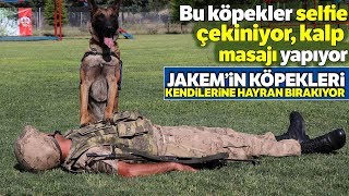JAKEM’in Köpekleri Şınav Çekiyor, Komando Dansı Yapıyor