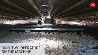 Apollo Generation 2 - The Chicken Harvester