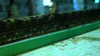 BADELA SHARIF DARBAR