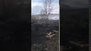 Пожар в Сенной пади в Чите