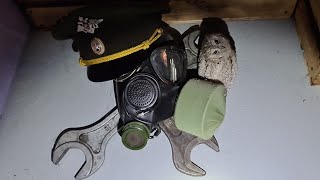 Совята, утро и еда, как обычно. Сплюшки Трунь и Вштырь страдают от голода