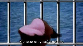 антипиратский загон RYTP