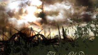 Most Beautiful Metal Songs Part One: Throes of Dawn - The Weeper (with lyrics)