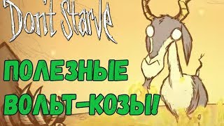 Don't Starve [СУПЕРБАЗА] #21 - Полезная живность!