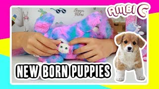 Puppy Surprise Plushie Toy Giveaway