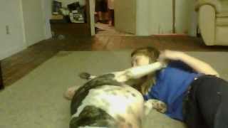 dog loves girl