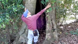 熱海市和田木神社の記録　神社境内の 老朽化した木の伐採　２０２３／６／１７