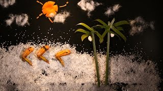 美食台 | 新奥尔良烤翅，秘诀就在调料里！