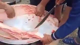 Coronavirus is cursed by Chinese people eating raw Meat