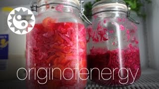 OE Lacto Fermented Veges