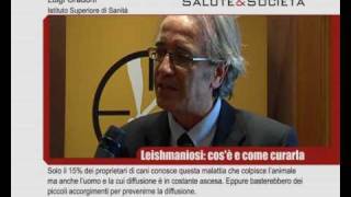 Leishmaniosi, cos'è e come curarla