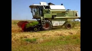 уборка ячменя комбайном claas dominator 106