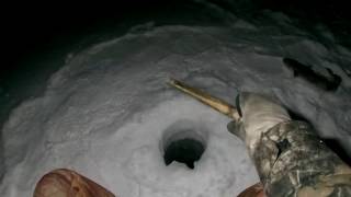 Рыбалка,кто умеет тот ловит)))(03.02.2017)