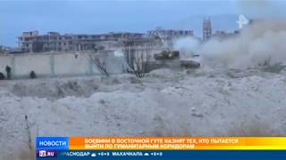 Минобороны: Боевики начали проводить показательные казни в Восточной Гуте