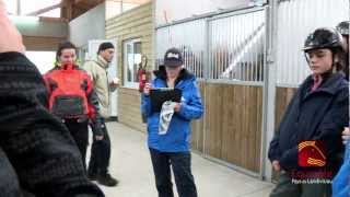 Equipole du Pays de Landivisiau - Stage Endurance Equestre - Virgine Atger - Production Eole Médias