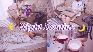 【 한국어 자막 】? Night Routine- 나이트 루틴