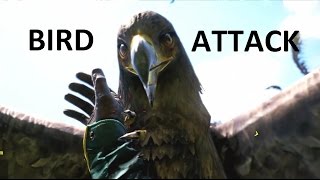 Far Cry 4 - Attacked by a crazy bird
