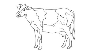 How to Draw a Cow / Как нарисовать корову