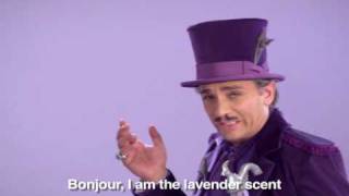 Pine-Sol Commercial Lavender