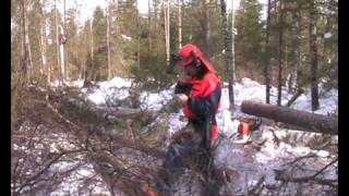 Сямженский леспромхоз 2010