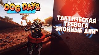 Тактическая тревога - Знойные Дни в варфрейм | DOG DAYS warframe ?
