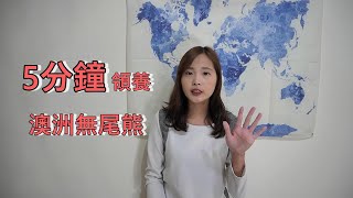 社會觀察｜5分鐘迅速領養澳洲野火無尾熊