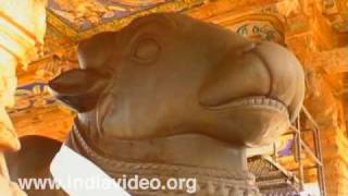 Nandi shrine Brihadeesware Temple Tanjore