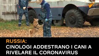 Russia: cinologi addestrano i cani dell'unità cinofila dell'Aeroflot a rivelare il Coronavirus